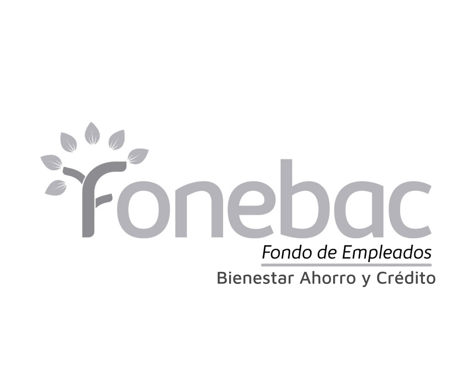 02_Fonebac.png