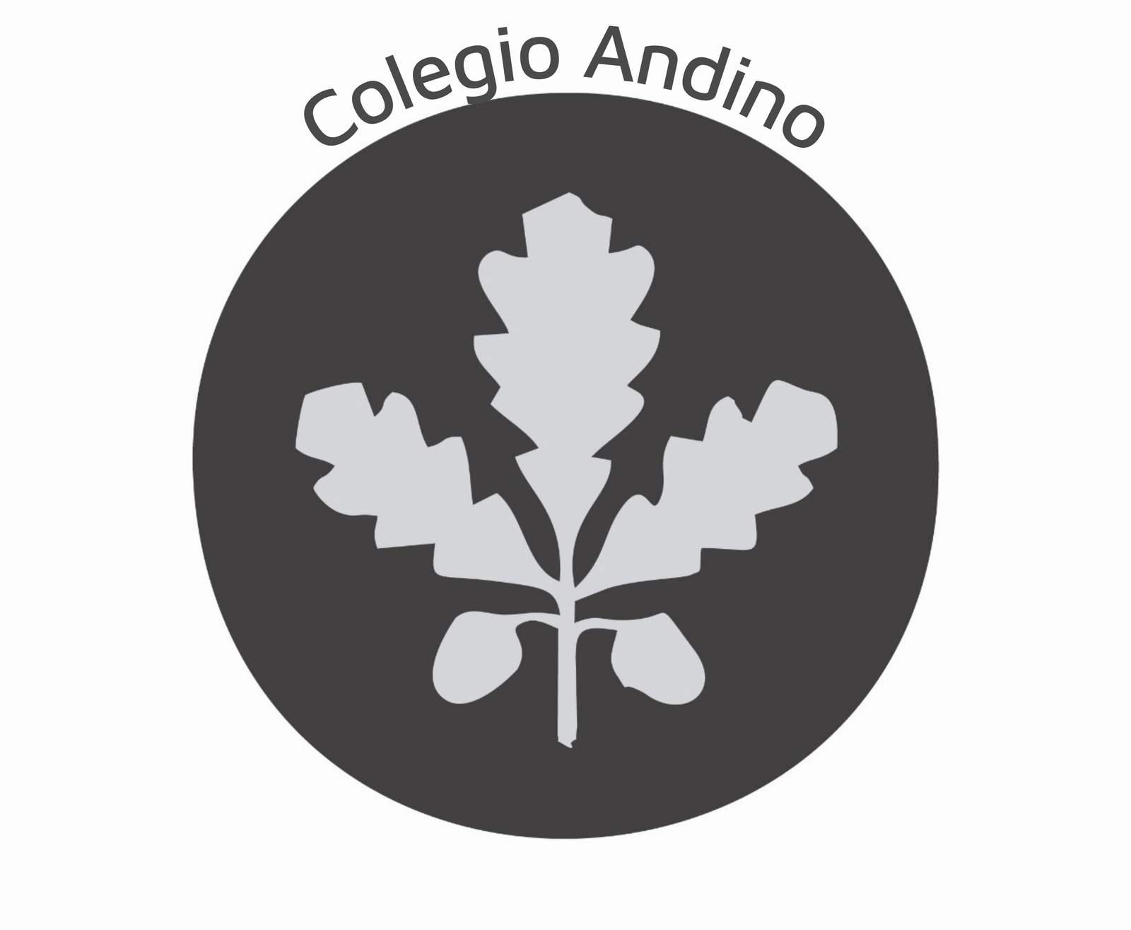 16_Colegio Andino.png