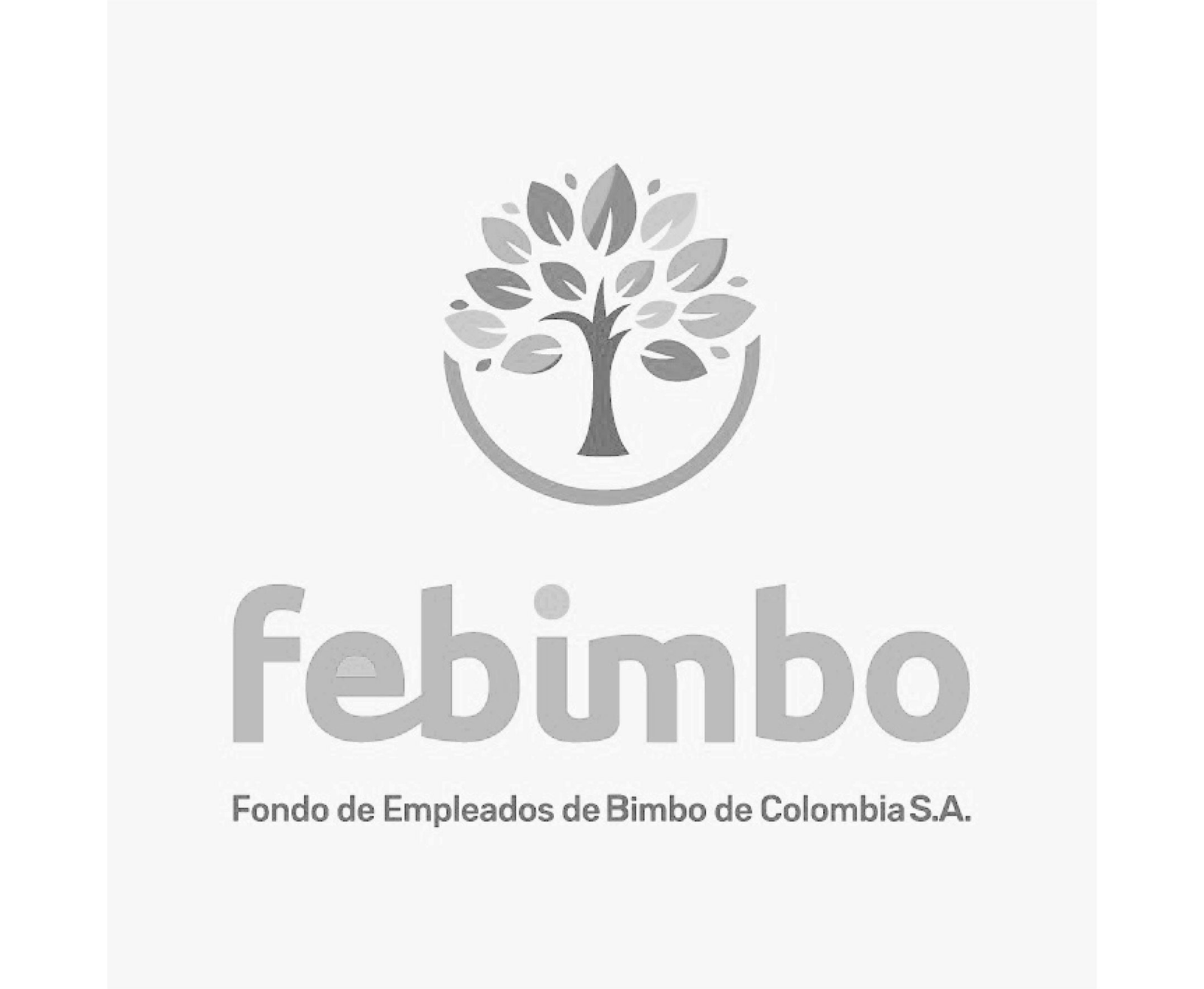25_Febimbo2025.png