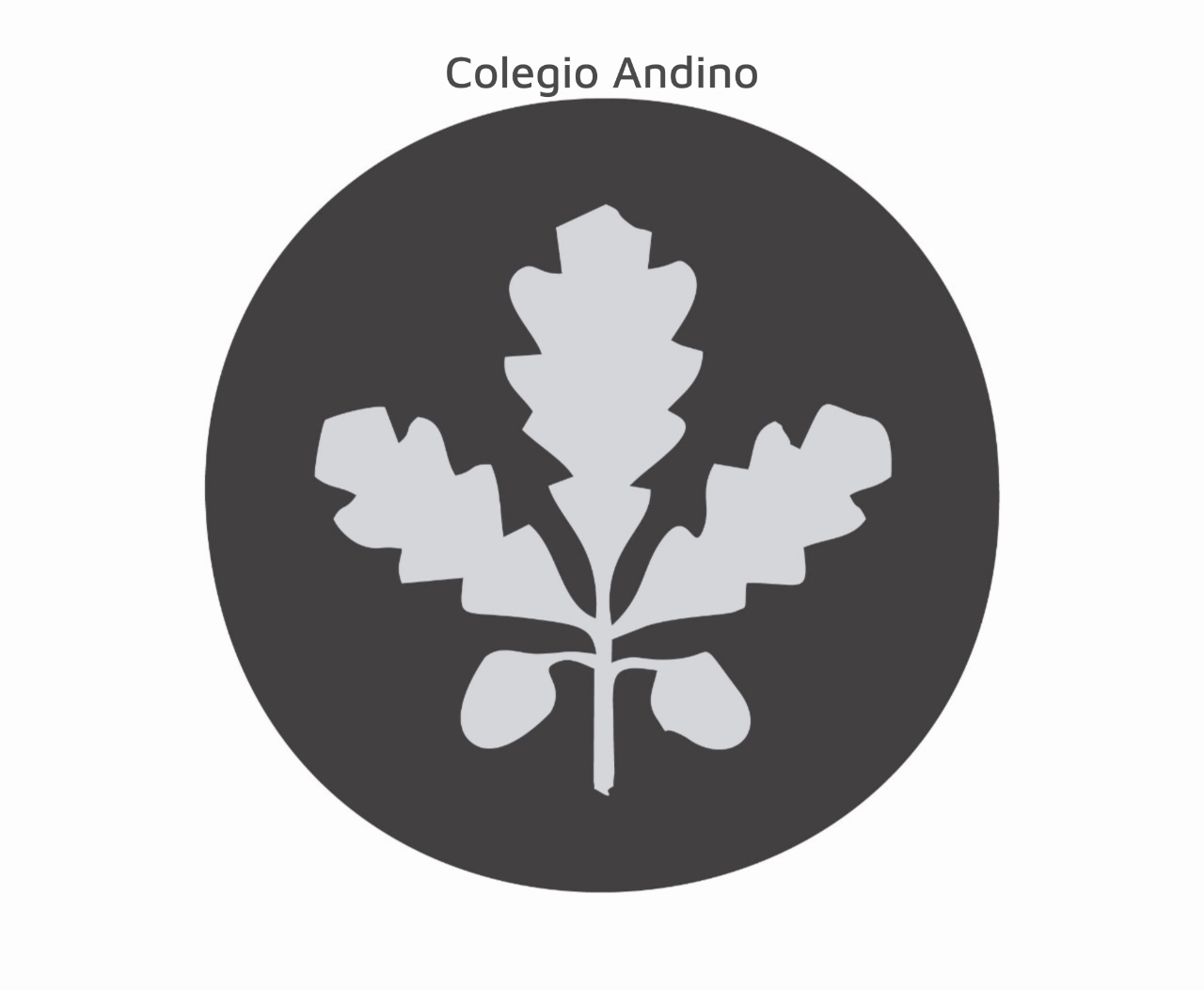 22_Colegio Andino.png